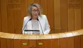 O PP rexeita todas as propostas do BNG para incluír Ponteareas nos Orzamentos da Xunta