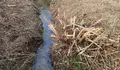 O BNG denuncia unha agresión ambiental do Concello de Ponteareas no Regato da Venda