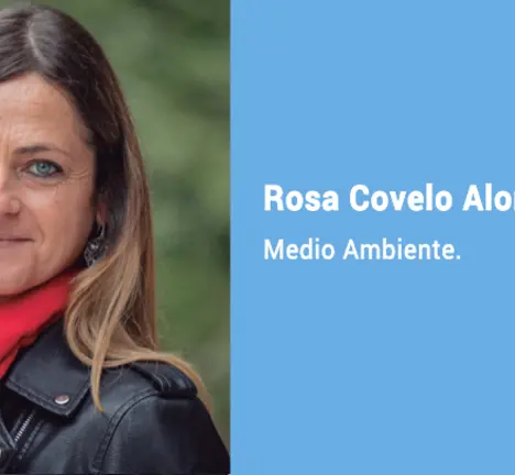 rosa covelo caixa