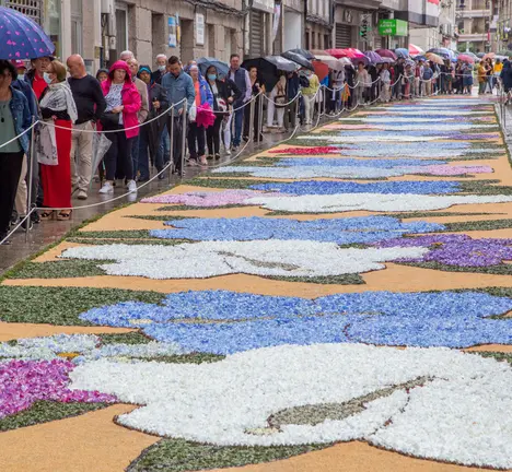 alfombra 2022