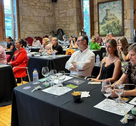 Cata vi&ntilde;os sal&oacute;n de plenos - Concello