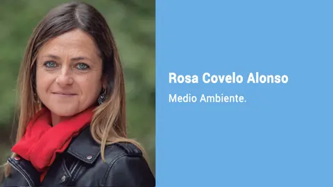 rosa covelo caixa