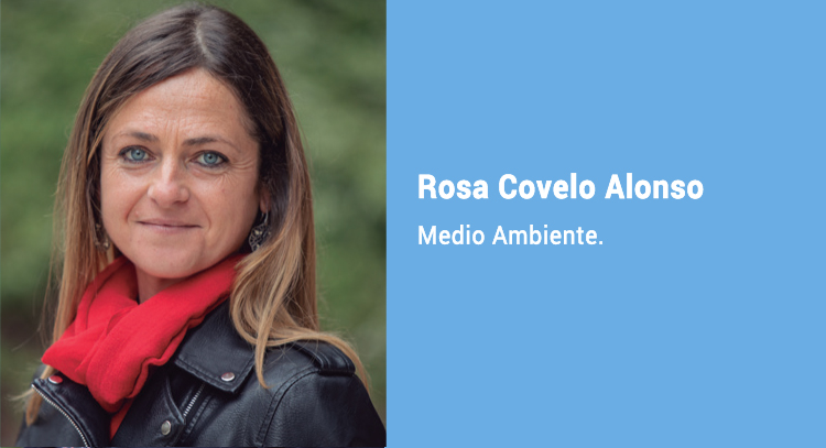 rosa covelo caixa